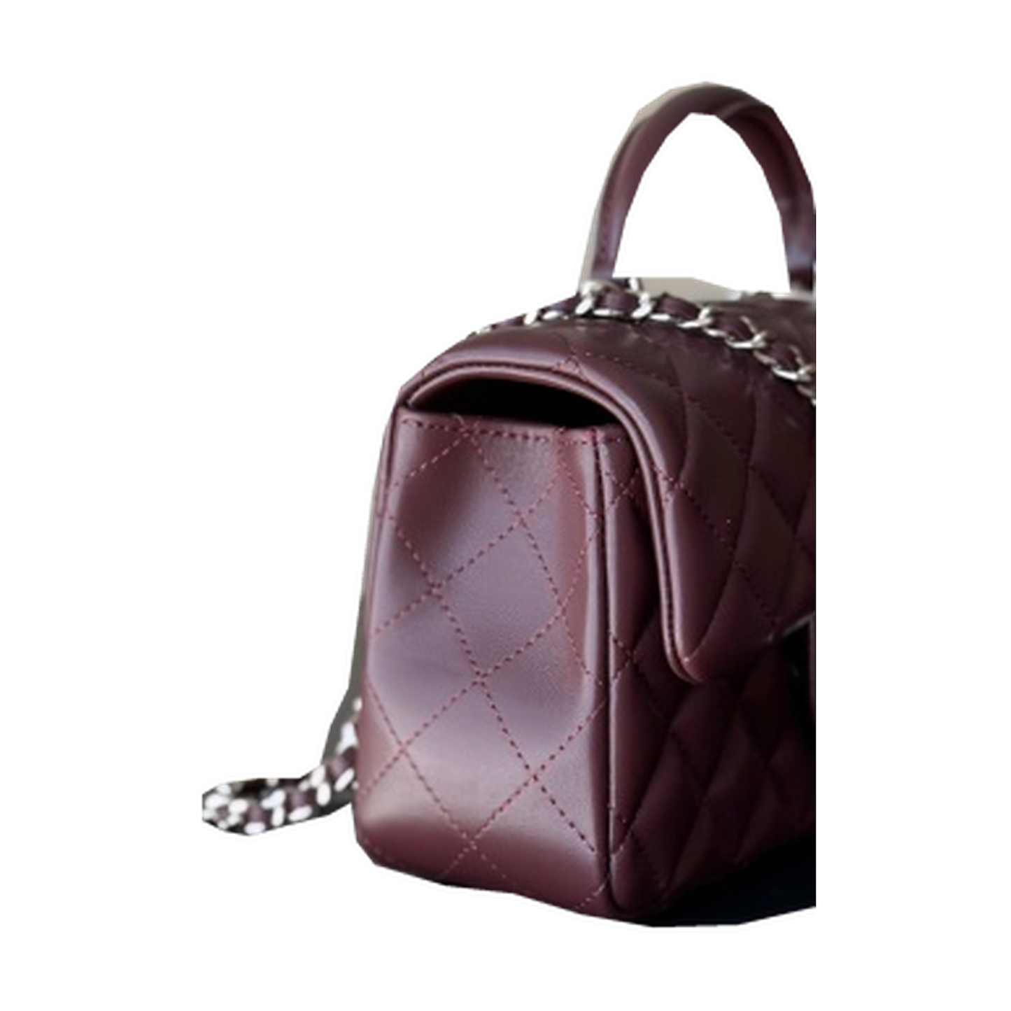 Chanel Quilted Travel Flap Handbag 20cm
